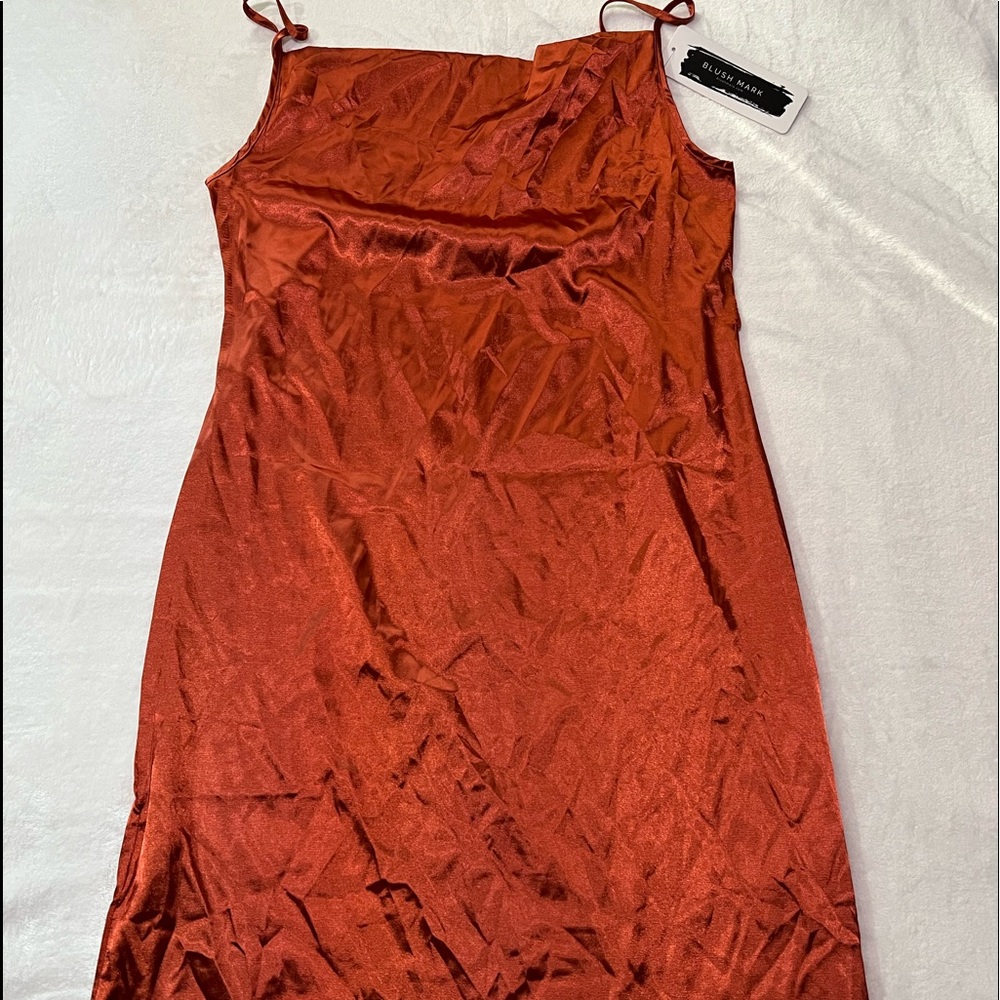 Brand new never worn blush mark burgundy neck slip dress